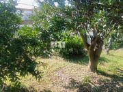 Moradia, Viana do Castelo e Meadela