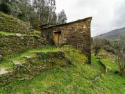 Moradia, Vide e Cabeça
