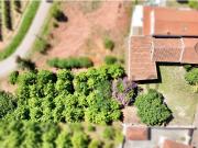 Moradias antigas e lagar Rabaceira