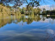 MORBIHAN, Ménéac, Lacs de pêche d'exception sur près...