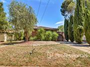 More Than Meets the Eye.