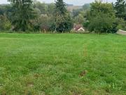 Moret Loing et Orvanne 77250 Programme neuf terrain neuf...