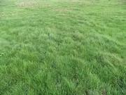 Moret Loing et Orvanne 77250 Programme neuf terrain neuf...