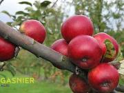 Morlaix 29600 Achat / Vente divers au dernier étage