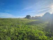 Mornac sur Seudre 17113 Achat / Vente terrain