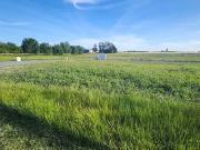 Mornac sur Seudre 17113 Achat / Vente terrain