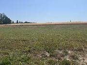 Mornac sur Seudre 17113 Achat / Vente terrain