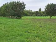 Mornac sur Seudre 17113 Programme neuf terrain neuf à vendre