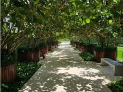 MORROS ECO VENTA DE APARTAMENTO MANZANILLO