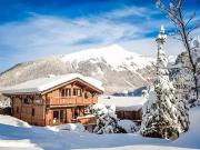 Morzine 74110 Achat / Vente maison 12 pièces t12