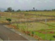 Moshi Residential Plot For Sale Pune