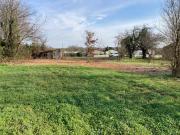 Mosnac Vente Terrain 17