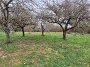 Mosnay Vente Terrain 36