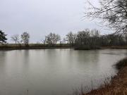 Mosnay Vente Terrain 36