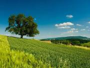 Mosnes 37530 Programme neuf terrain neuf à vendre