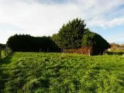 Moulins en Bessin 14740 Programme neuf terrain neuf à vendre