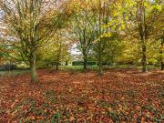 Mountrice, Mullagh Roe, Monasterevin, Co. Kildare Jordan...