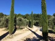 Mouriès 13890 Achat / Vente maison 8 pièces t8