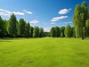 Mourmelon le Grand 51400 Programme neuf terrain neuf à...