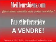 Moustéru 22200 Achat / Vente terrain