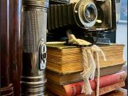 Move in with your suitcase in Potts Point! High Speed...