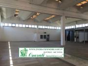 MQ 1360 GUIDONIA, ZONA INDUSTRIALE RIF.V 960