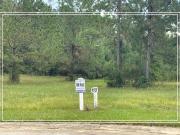 Mt Vintage spiked Cannon Ct, North Augusta, Plot For Sale