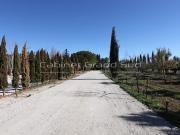 MUDAISON Terrain de loisir 100m2 dans jardin partagé