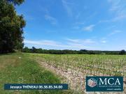 Mugron Vente Terrain 40