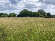 Muides sur Loire 41500 Programme neuf terrain neuf à vendre