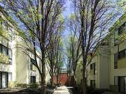 Mulberry Court Apartments 2 Bedrooms, 1 Bathroom