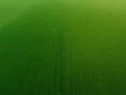 Mullanpur, Mohali City 2024 Sq.Ft. Plot in Mullanpur Mohali