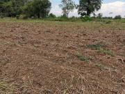 Mullanpur, Mohali City 300 Sq.Ft. Plot in Mullanpur Mohali