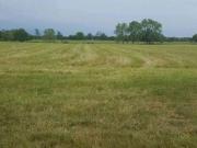 Mullanpur, Mohali City 378 Sq.Ft. Plot in Mullanpur Mohali