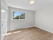 Multiplex Property
