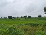 Mumbai Plot In Panvel,Panvel Residential Plot For Sale...