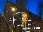 München 81927 zwei Zimmer Wohnung ab 1.4. zu vermieten