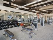 Muse at Museum District B4