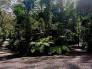 Must be SOLD Land at SPRINGBROOK!