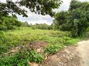 MUST SEE TITLED. LOT 5905sqm ONLY P3.5k. AMADEO, CAVITE
