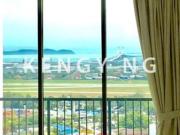 Must View Tree Sparina 2 Car Park Near FIZ Bayan Lepas...