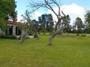 Muy linda Chacra de 3 hectareas a la venta en Gualeguay!