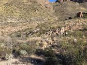 N Catalina Ridge Dr Unit,tucson, Plot For Sale
