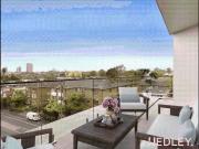 N E L S O N N E L S O N