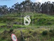 Não definido em Alvelos, celos