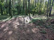 Não definido em Antas, Esposende