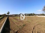 Não definido em Antas, Esposende