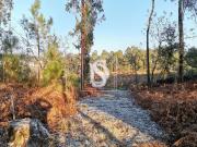 Não definido em Forjães, Esposende