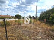 Não definido em Nossa Senhora de Fátima, Entroncamento