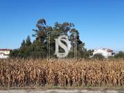 Não definido em São Bernardo, Aveiro